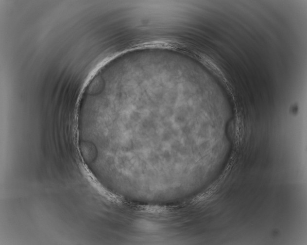 X0000115660800200912031331