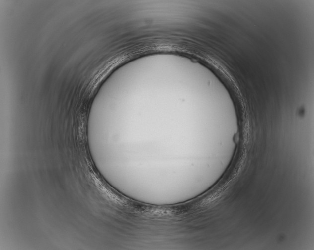 X0000115660801200912031331