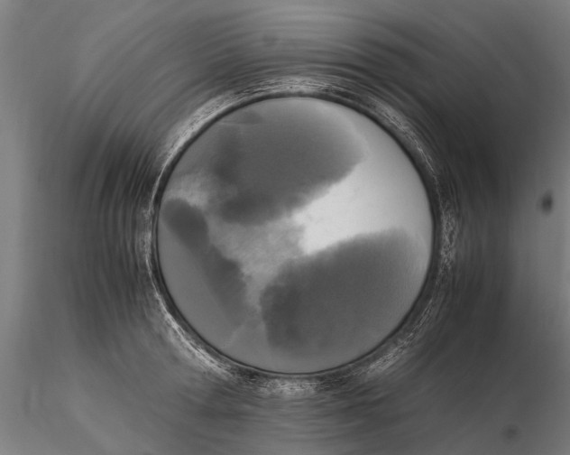 X0000115660802200912031331