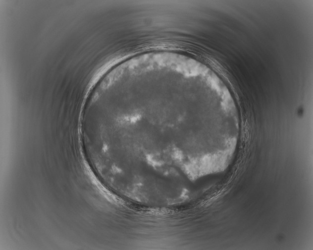 X0000115660803200912031331