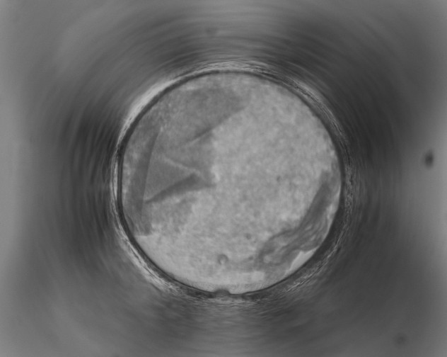 X0000115660804200912031331