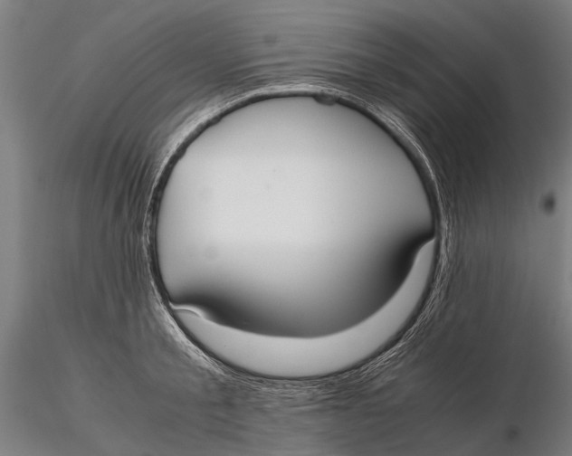 X0000115660805200912031331