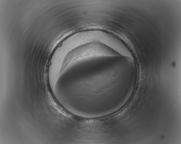 X0000115660806200912031331