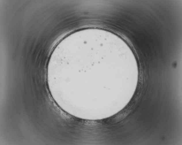 X0000115660807200912031331