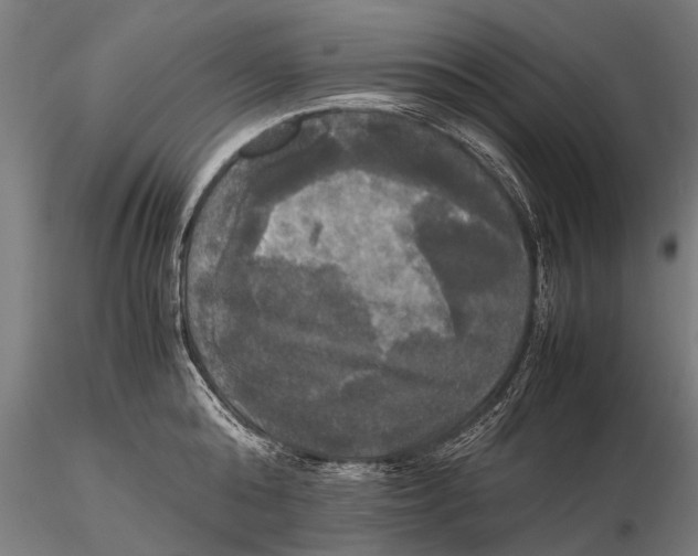 X0000115660808200912031331