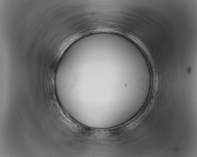 X0000115660809200912031331