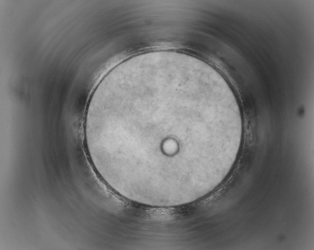 X0000115660810200912031331