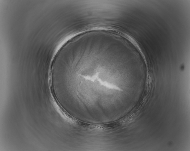 X0000115660811200912031331