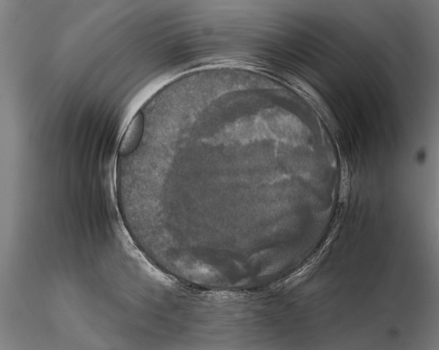 X0000115660812200912031331