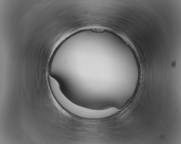 X0000115660813200912031331