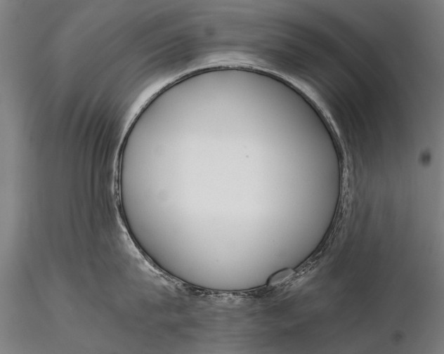 X0000115660815200912031331