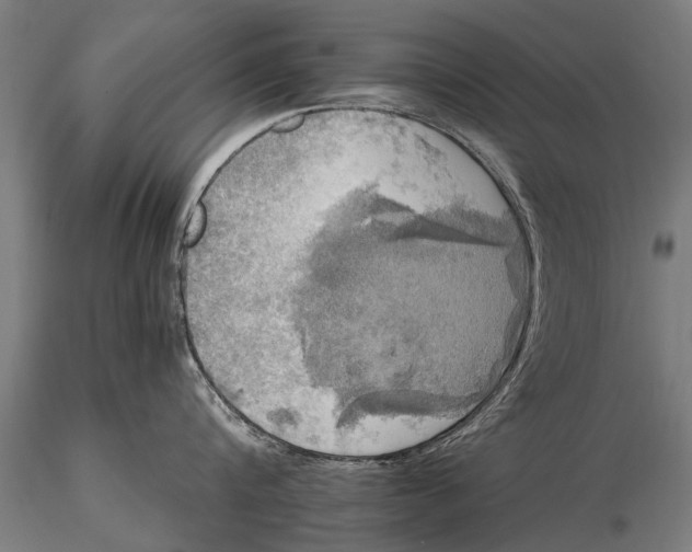 X0000115660816200912031331