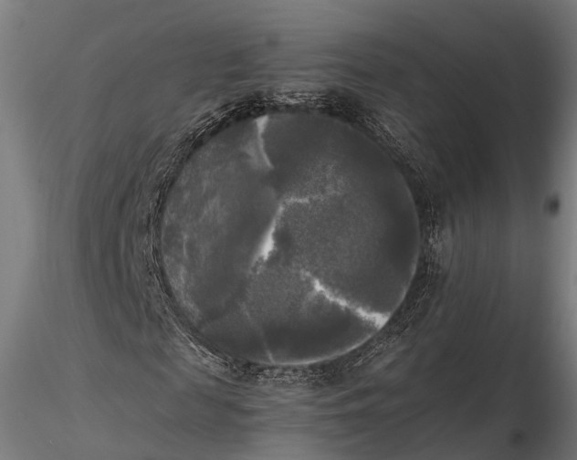 X0000115660817200912031330