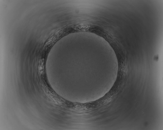 X0000115660818200912031330