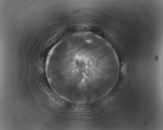 X0000115660819200912031330