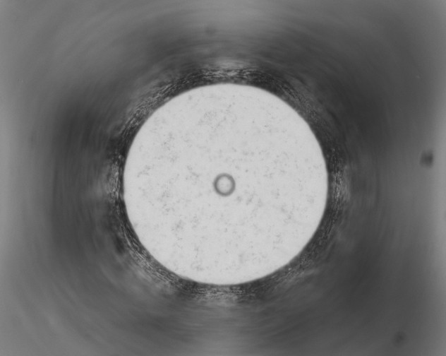 X0000115660820200912031330