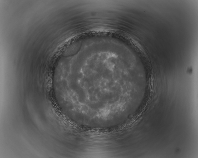 X0000115660821200912031330