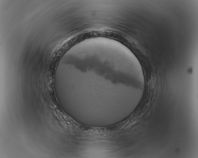 X0000115660822200912031330