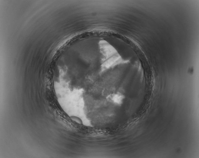 X0000115660823200912031330