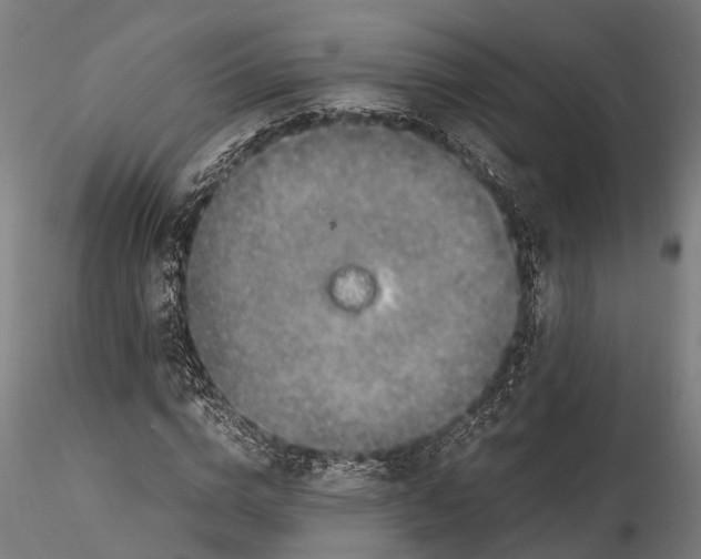 X0000115660824200912031330