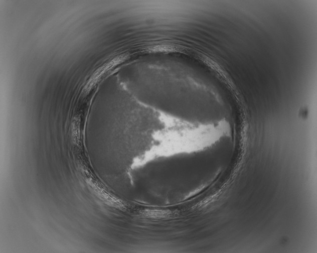 X0000115660825200912031330