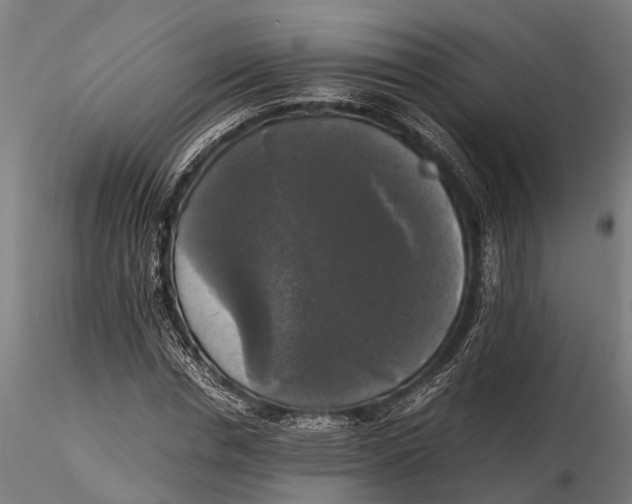 X0000115660826200912031330