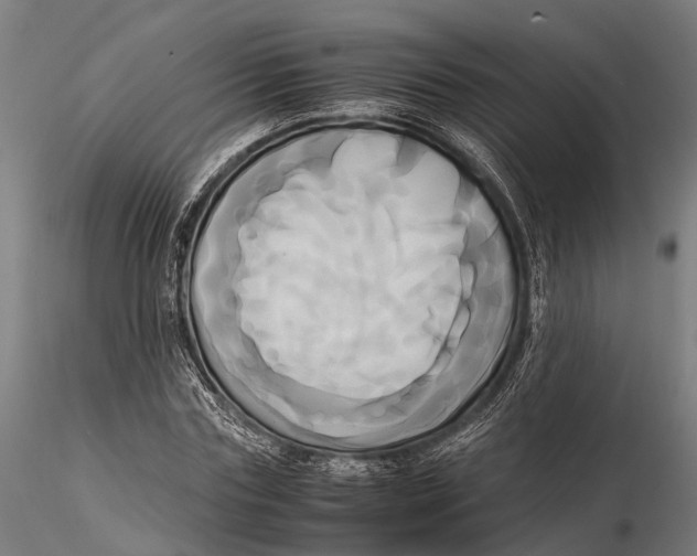 X0000115660827200912031330