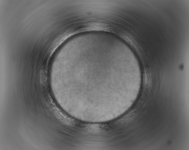 X0000115660828200912031330