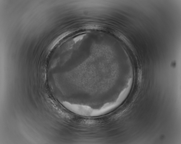 X0000115660829200912031330