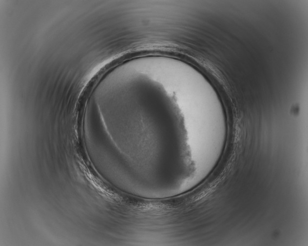 X0000115660830200912031330