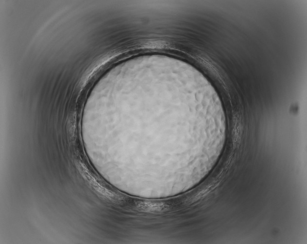 X0000115660831200912031330