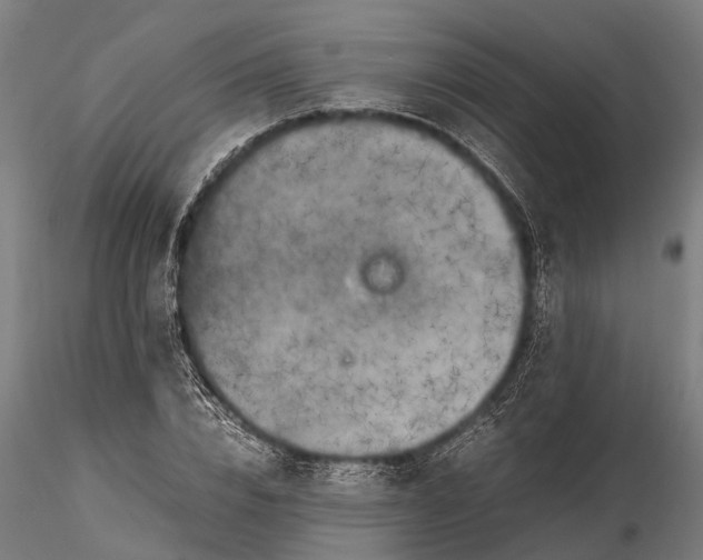 X0000115660832200912031330