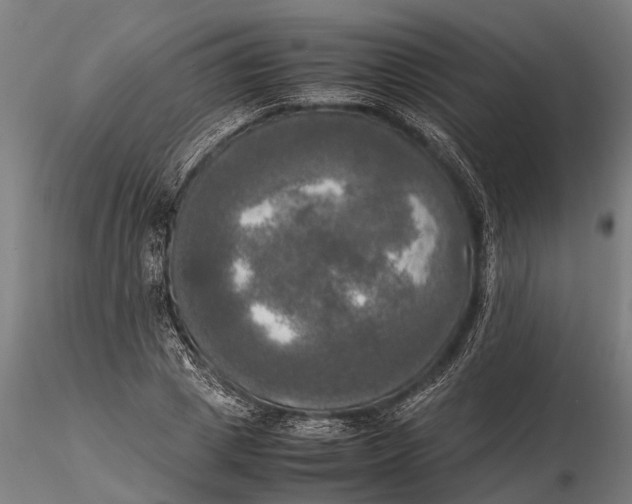 X0000115660833200912031330