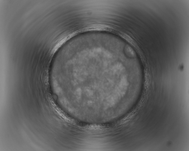 X0000115660834200912031330