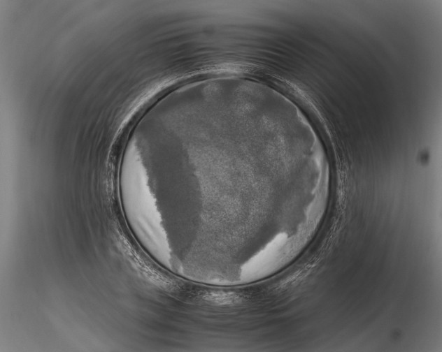 X0000115660835200912031330