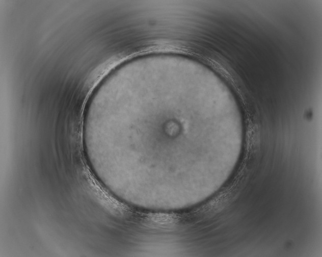 X0000115660836200912031330