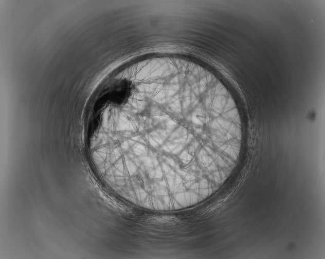 X0000115660837200912031330