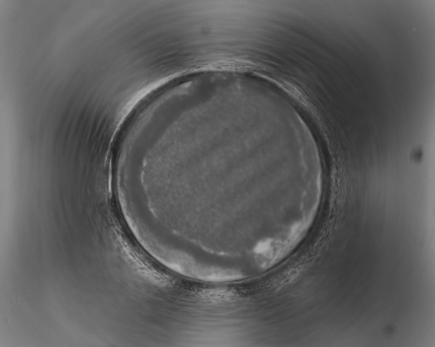 X0000115660838200912031330