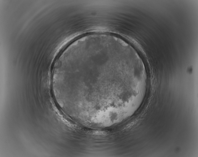 X0000115660839200912031330