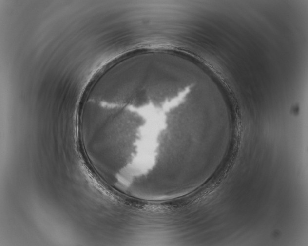 X0000115660840200912031330