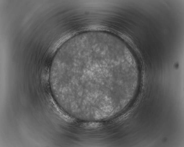 X0000115660841200912031330