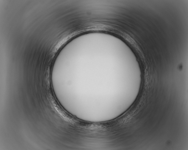 X0000115660842200912031330