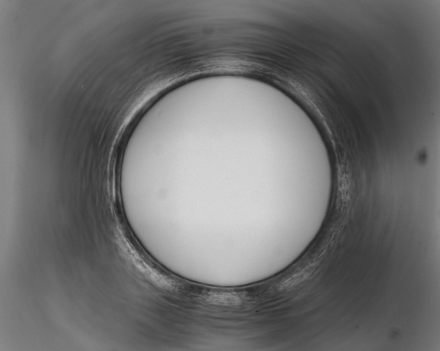 X0000115660843200912031330