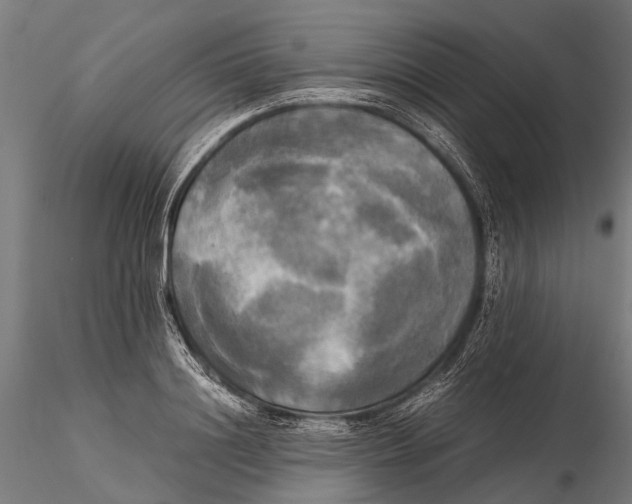 X0000115660844200912031330