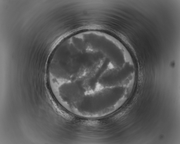 X0000115660845200912031330