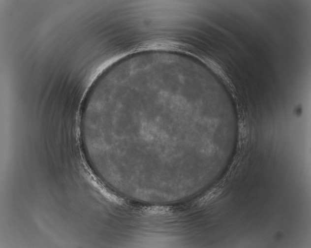 X0000115660846200912031330