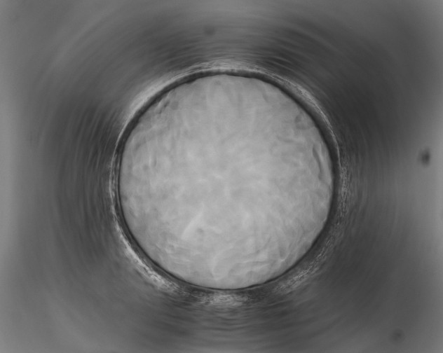 X0000115660847200912031330