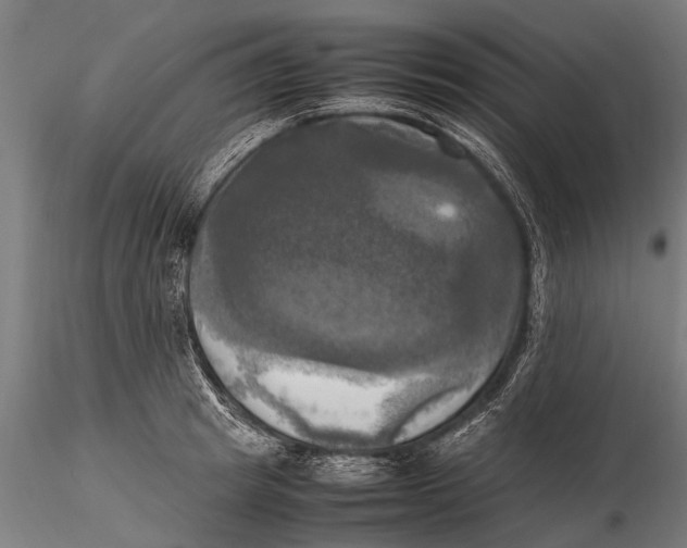 X0000115660849200912031330