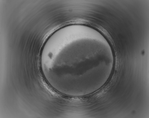 X0000115660850200912031331