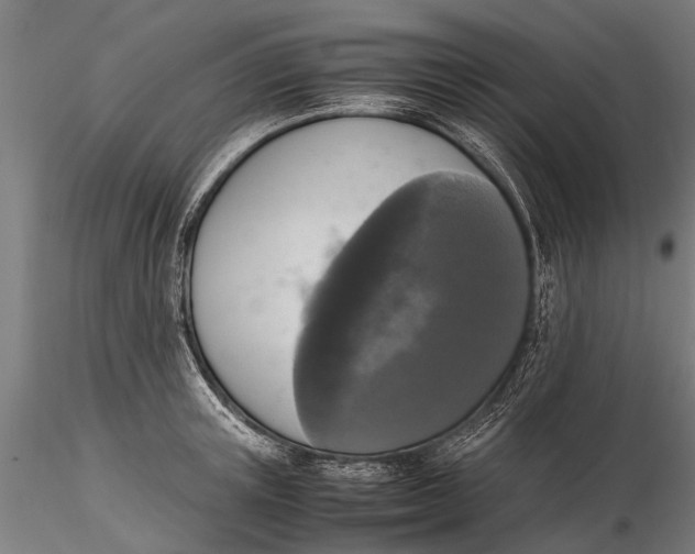 X0000115660851200912031331